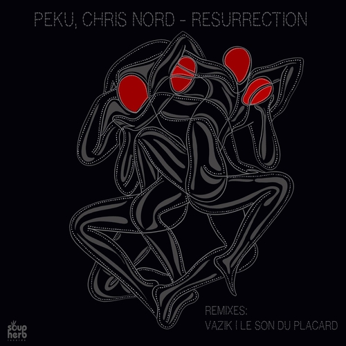 Chris Nord - Resurrection [SH166]